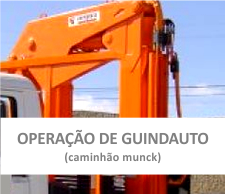 Oper&ccedil;&atilde;o de Guindauto